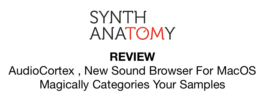 Synth Anatomy Review